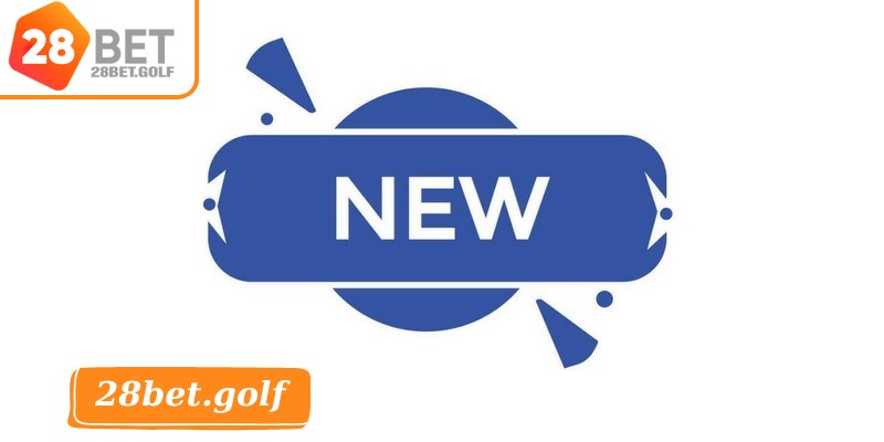 Tin tức nhà cái là nguồn dữ liệu quan trọng cho người chơi